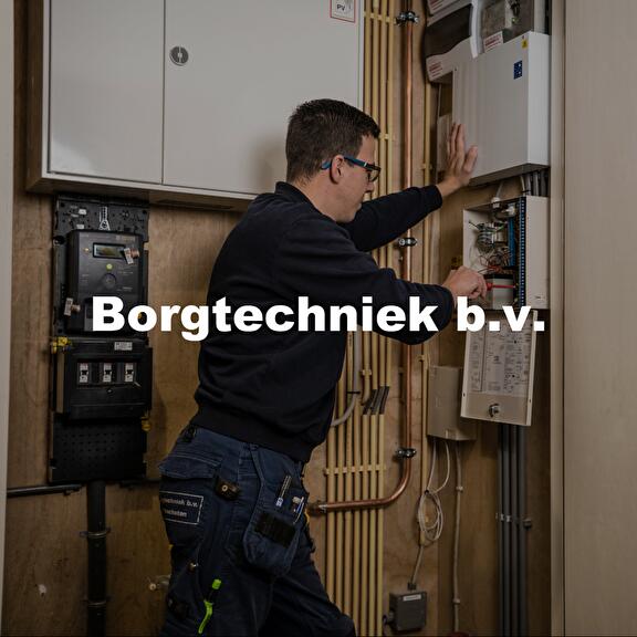 Effectieve social media aanpak voor  Borgtechniek B.V.