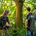 Groene website voor Witteveen Groenprojecten en Advies