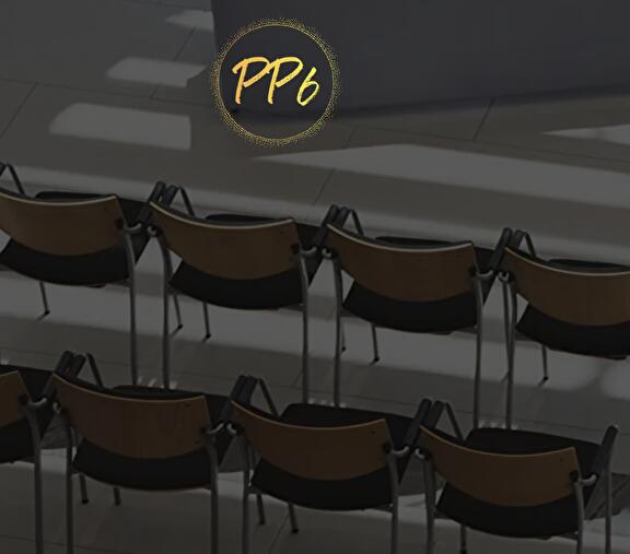 Een nieuwe online look voor PP6!